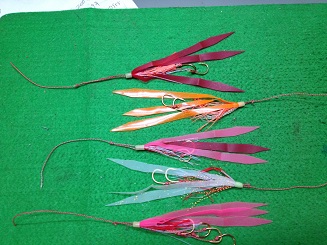 IMG_0389.jpg