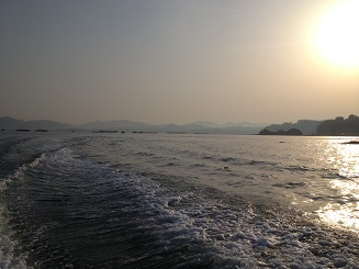IMG_0709.jpg