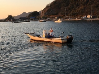 n10.jpg