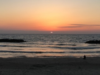 n9.jpg