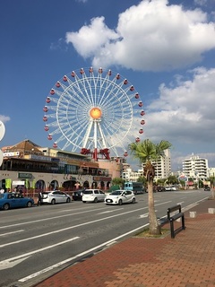 o9.jpg