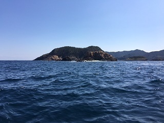 s2.jpg